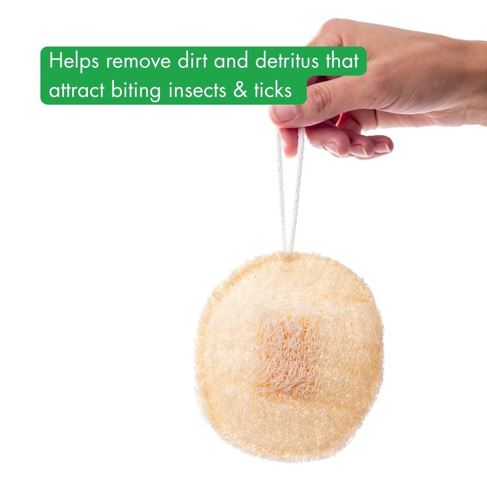 image 1 of incognito Luxury Loofah Soap