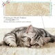 image 5 of Yaheetech 4-Level Cat Tree Condo with Perch Beige