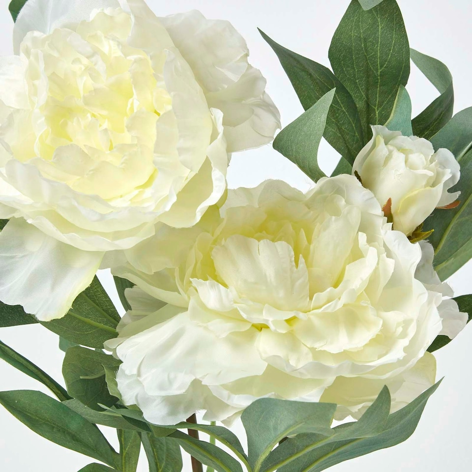 image 1 of Homescapes Cream Artificial Peonies in Decorative Cream Pot, 48 cm Tall