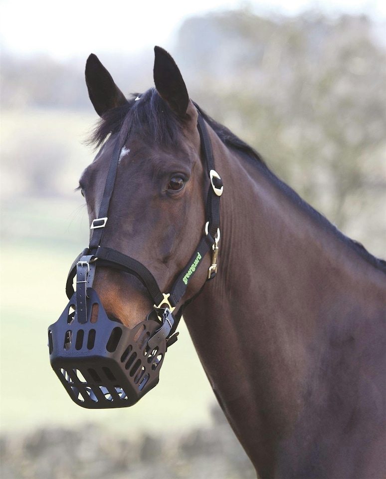 image 1 of Shires Greenguard Headcollar Black
