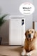image 2 of Pro Breeze 20L Premium Dehumidifier with Special Laundry Mode