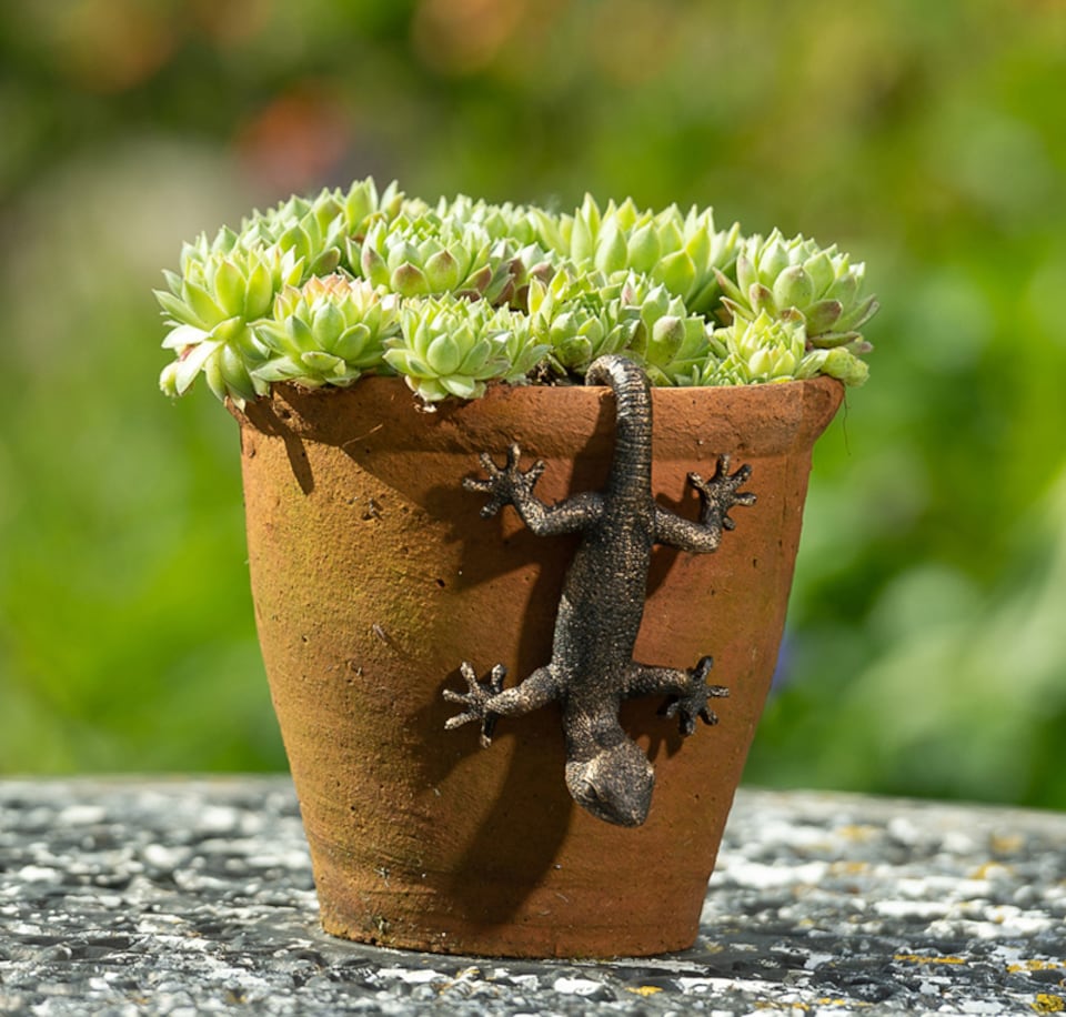 image 1 of Antique Bronze Coloured Gecko Pot Buddy Plant Pot Hanger