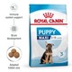 image 4 of Royal Canin Maxi Dry Puppy Food 12kg