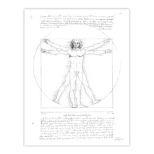 Vitruvian Man Black and White da Vinci Vintage Huge Wall Art Poster Print 24X32"