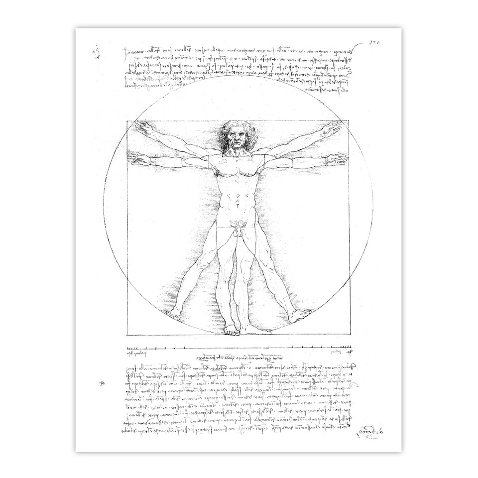 image 1 of Vitruvian Man Black and White da Vinci Vintage Huge Wall Art Poster Print 24X32"