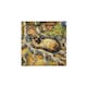 image 1 of Van Gogh Tree Roots Cat Square Glass Hot Pot Stand - Heat Resistant Non-Slip Trivet