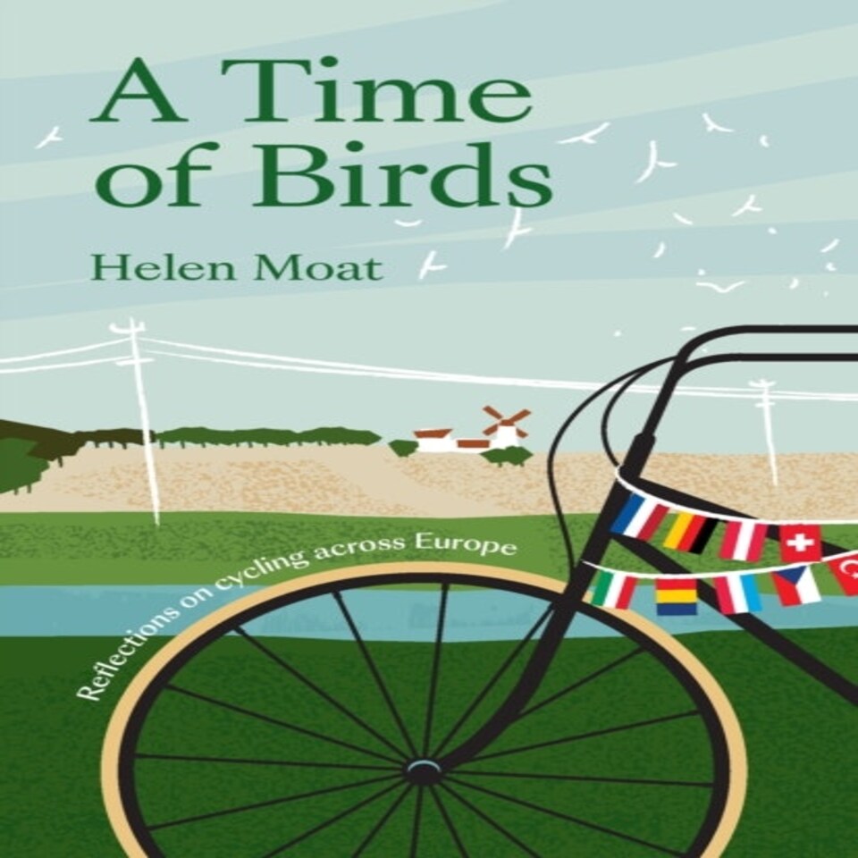 A Time Of Birds