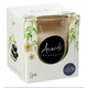 image 2 of Scented Candle Acorde 83182 Spa (12 Units) N/A
