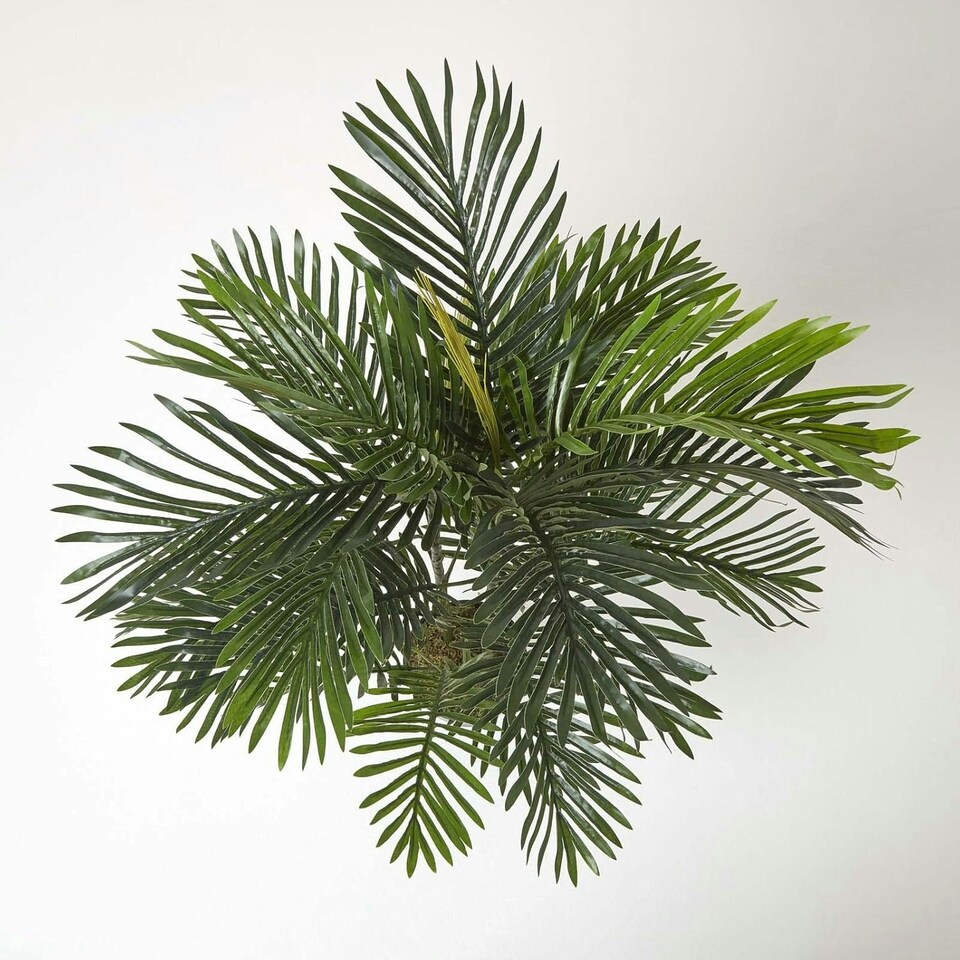 image 1 of Homescapes Areca Palm Tree in Pot, 120 cm Tall