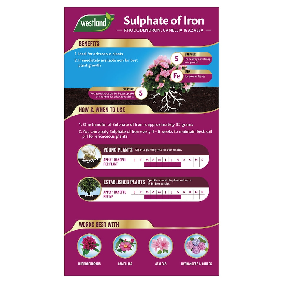 image 1 of Westland Sulphate of Iron for Ericaceous Plants 1.5 kg box