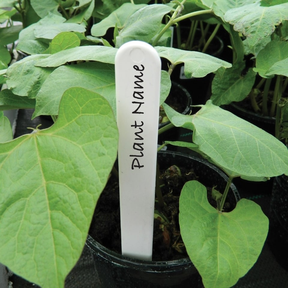 image 1 of Garland Plant Labels Plastic Outdoor Pack of 50 Durable 10cm (4")