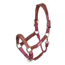 Velociti Lusso Leather Padded Horse Headcollar - Burgundy - Cob