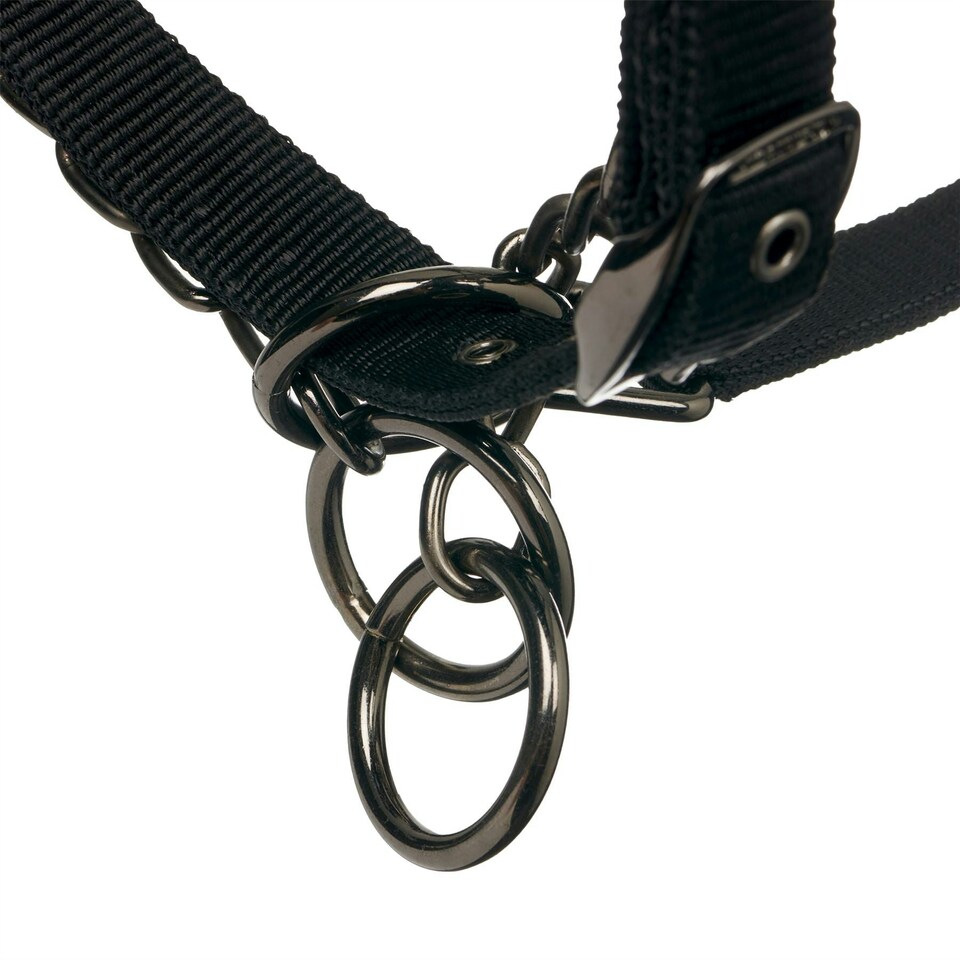 image 1 of LeMieux ProSafe Headcollar Black | Full