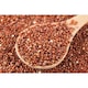 image 5 of Organic Red Quinoa 500g (Sussex Wholefoods) | Multi