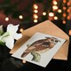 image 4 of Theo van Hoytema Art Card Eagle Owl Perched on a Branch