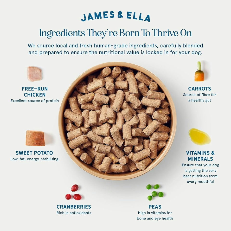 image 1 of Freeze-Dried Raw Dog Food - Free-Run Chicken 100g