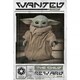 image 1 of Star Wars The Mandalorian Wanted The Child 228 Poster - White/Brown/Green - One Size
