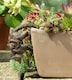 image 4 of Lemur and Pup Plant Pot Hanger | Bronze