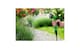 image 7 of Lightweight Green Elastic Garden Hose Set Expandable 5-10M with 7 Functions for Lawn Watering Backyard Plants | Green