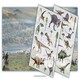 image 3 of Activity Pack Dinosaurs - CARDS - 18D Kids Activity & Sticker - Fine Feather (GBS / Bounce) - 9781908489562