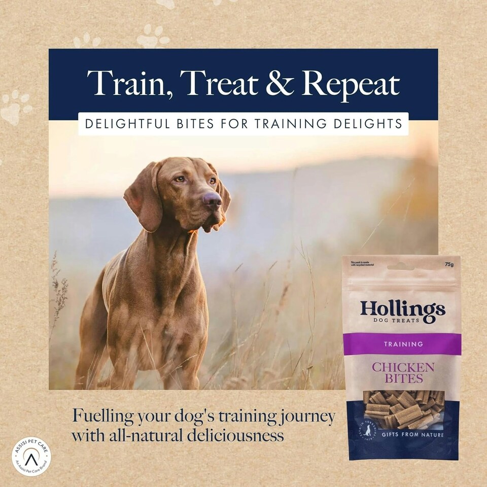 image 1 of Hollings Chicken Bites Dog Training Treats, Delicious Chicken Treats for Adult Dogs, High in Protein & Made with 100% Natural Ingredients (75g)