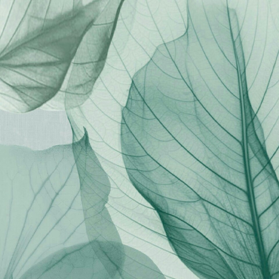 image 1 of Superfresco Easy Arlington Aquamarine Leaves Wallpaper Blue | Blue