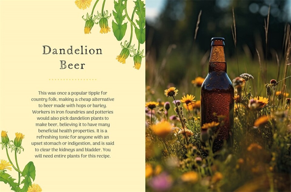 image 1 of The Little Wild Library: Dandelion