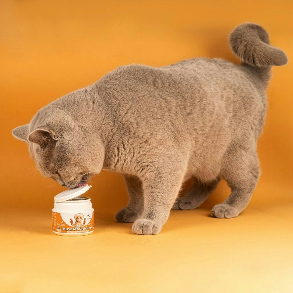 image 1 of Probiotics & Hairball Chews