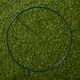 image 5 of Tom Chambers Green Metal Herbaceous Garden Plant Support Ring Small