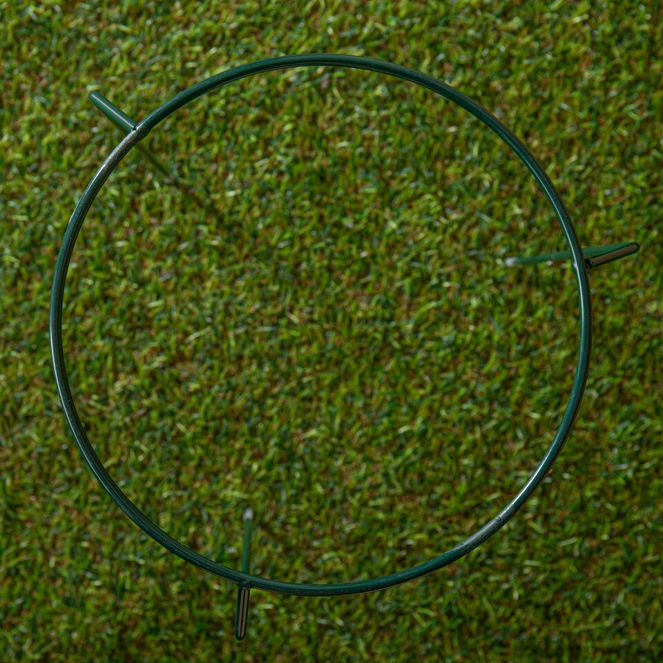 image 1 of Tom Chambers Green Metal Herbaceous Garden Plant Support Ring Small