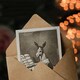 image 3 of Francisco Goya Art Card And So Was His Grandfather Noble Donkey