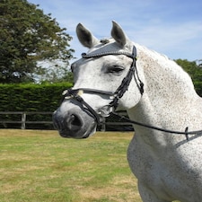 Rhinegold Anatomic Mexican Bridle Black | Size: X-Full
Colour: Black
