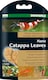 image 1 of Dennerle Catappa Leaves Pack of 12 for Aquariums