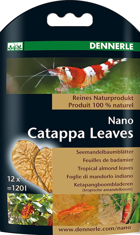 image 1 of Dennerle Catappa Leaves Pack of 12 for Aquariums