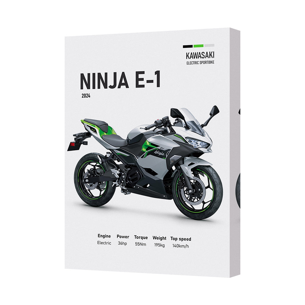 Ninja E1 Kawasaki Motorcycle Canvas Wall Art Print