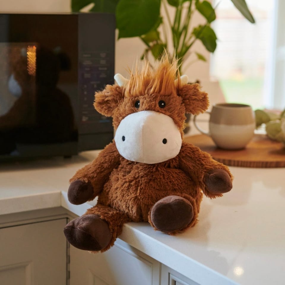 image 1 of Warmies Plus Highland Cow Microwavable Weighted Teddy