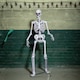 image 3 of 5ft (1.5m) Full Body Halloween Standing Skeleton with Posable Joints & Red LED Eyes