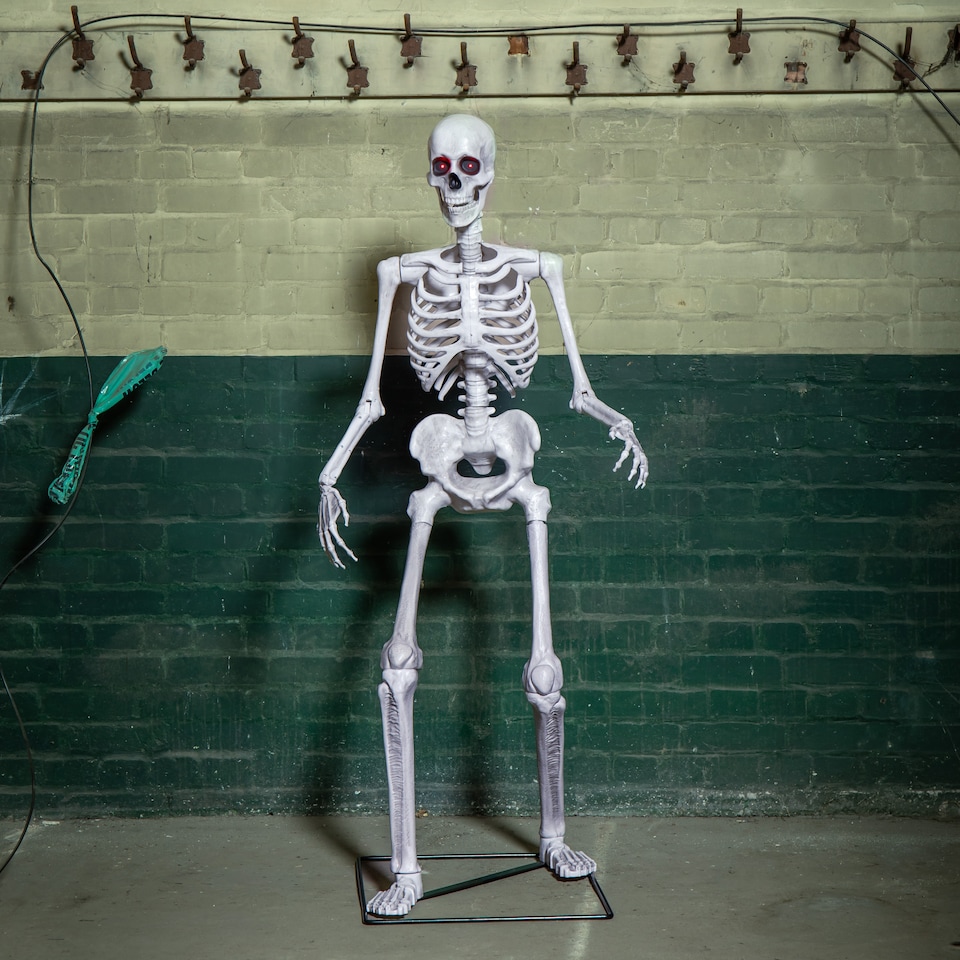 image 1 of 5ft (1.5m) Full Body Halloween Standing Skeleton with Posable Joints & Red LED Eyes