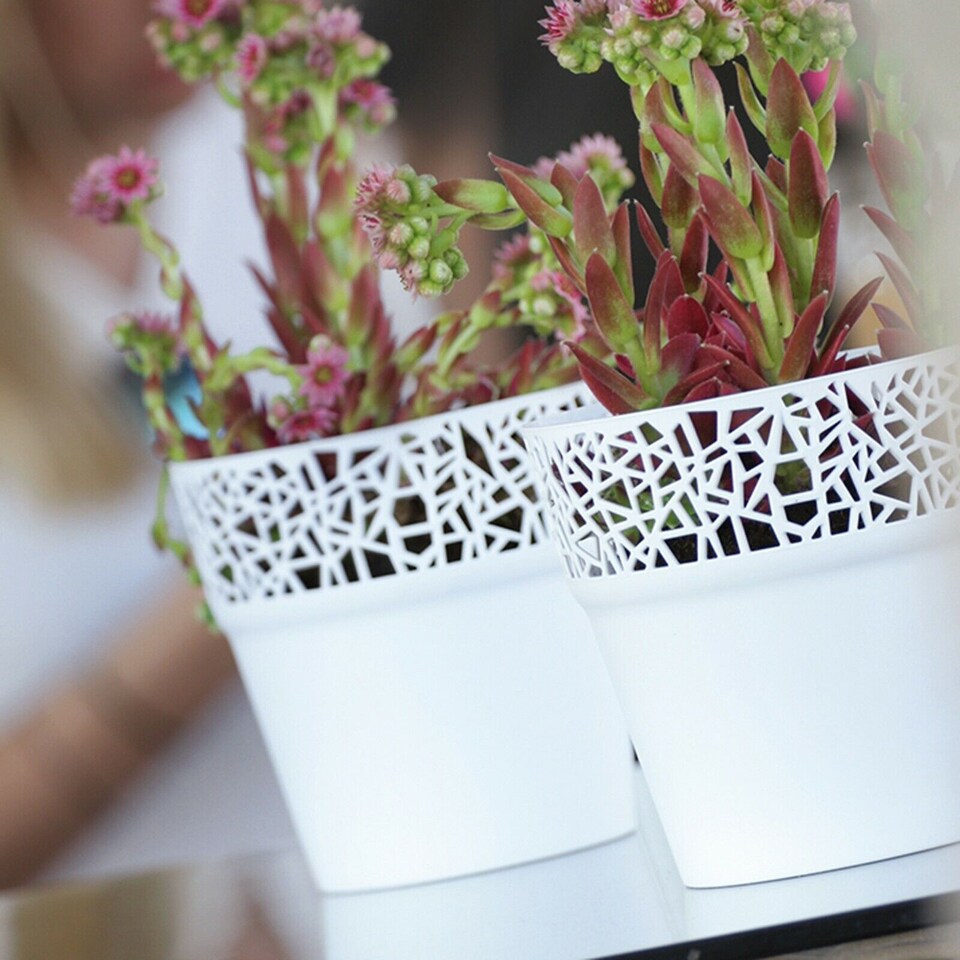 image 1 of Set of 2 Tree Flower Pot | White | 1
