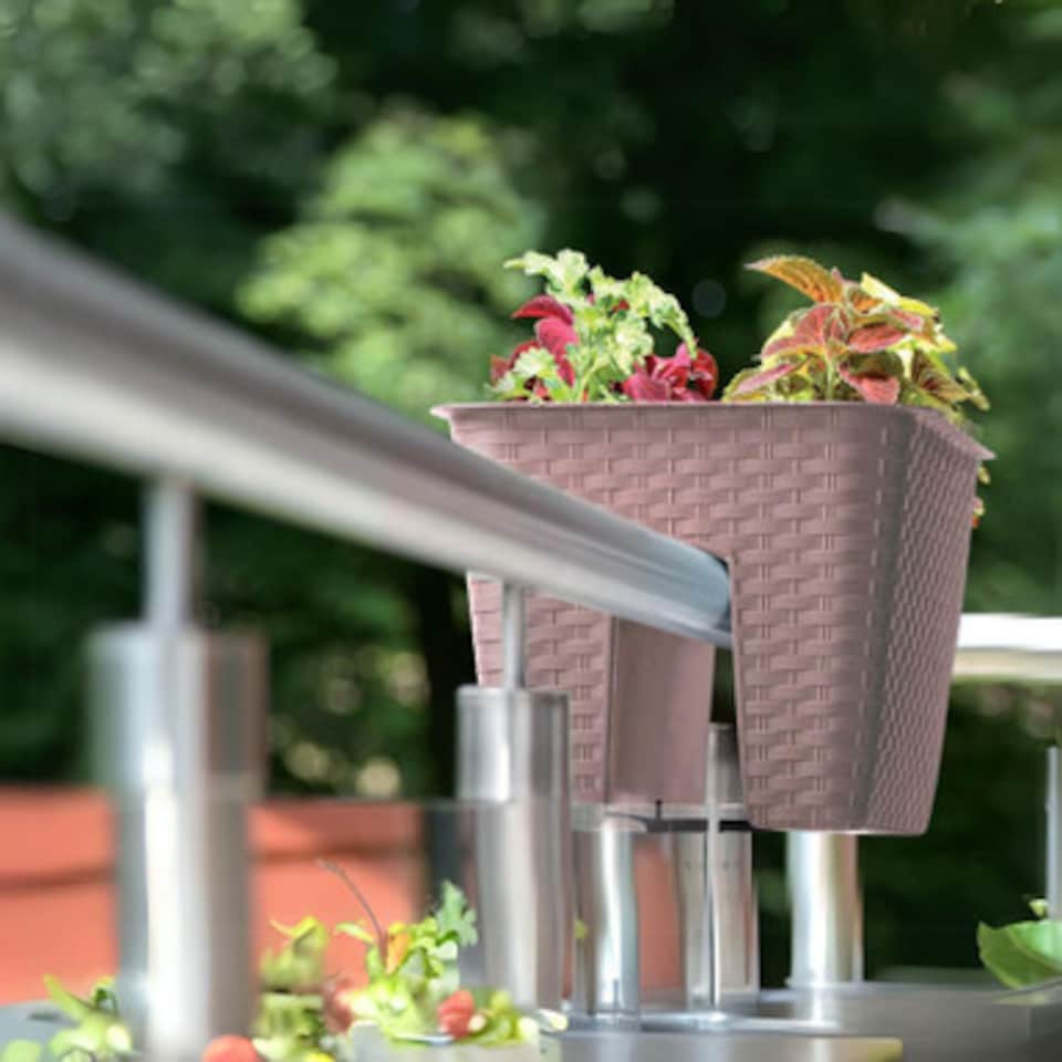 image 1 of Square Ratolla Railing Plant Pot - 22.5x27.2x27.2cm | Brown | Mocca & Set of 2 | 2