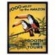 image 1 of Amazon Toucan River Brazil South America Jungle Rain Forest Framed Wall Art Print