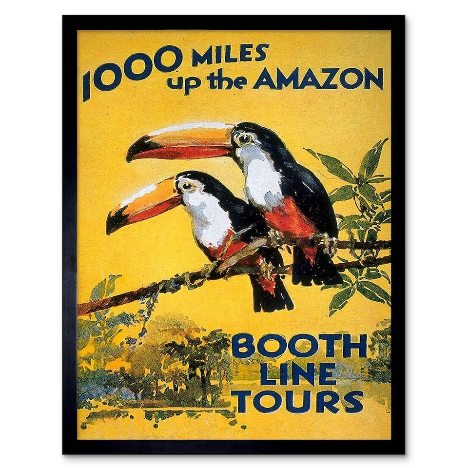 image 1 of Amazon Toucan River Brazil South America Jungle Rain Forest Framed Wall Art Print