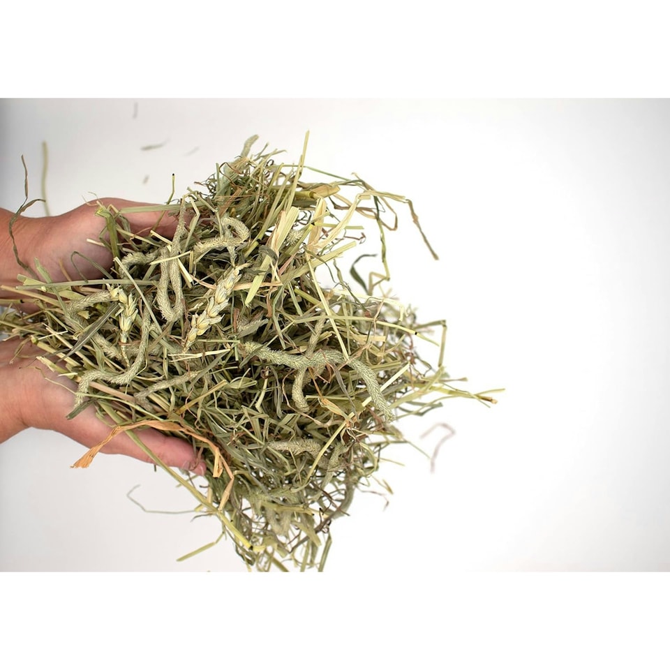 image 1 of Burgess Excel Timothy Feeding Hay Box - 4.5KG