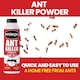 image 4 of Nippon Ant Killer Powder 500g Fast-Acting Crawling Insect Control Indoor & Outdoor Use Kills on Contact Up to 6 Months Protection | White | 1