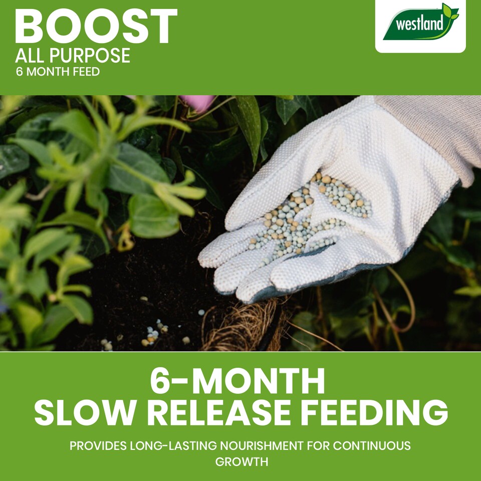 image 1 of Westland Boost All Purpose Plant Food 750g Slow Release Granules 6 Month Feed for Flowers Fruits Vegetables Healthy Growth