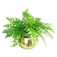 image 3 of Leaf XL Metal Bowl Planter 32 x 20cm Hammered Gold Colour - Curvy Edge | Gold