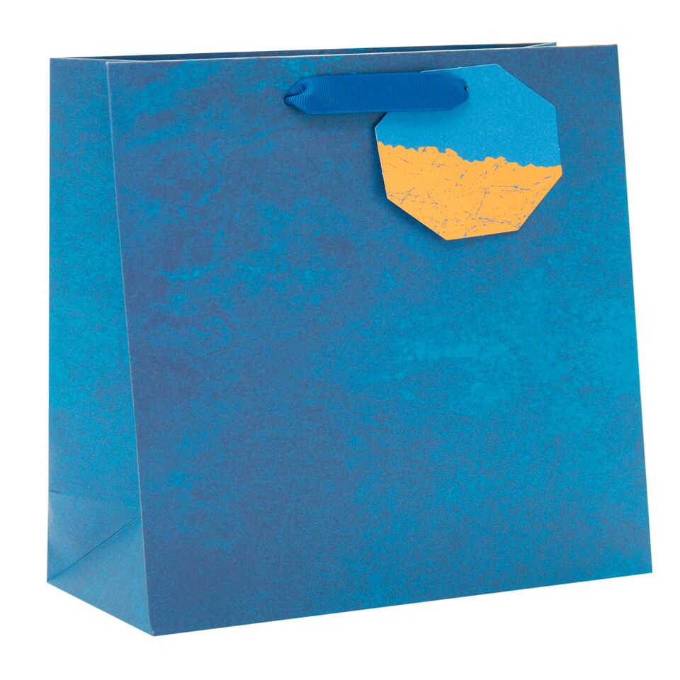 image 1 of Multipack of 3 Medium Gift Bags | Party Bags for Presents | Birthdays | For Him | Blue Design