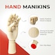 image 2 of Pack of 3 Large Wooden Right Hand Manikins 30cm (12")