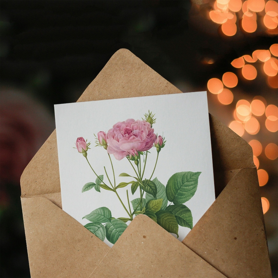 image 1 of Pierre-Joseph Redouté Art Card Gallic Rose Vintage Flower Illustration