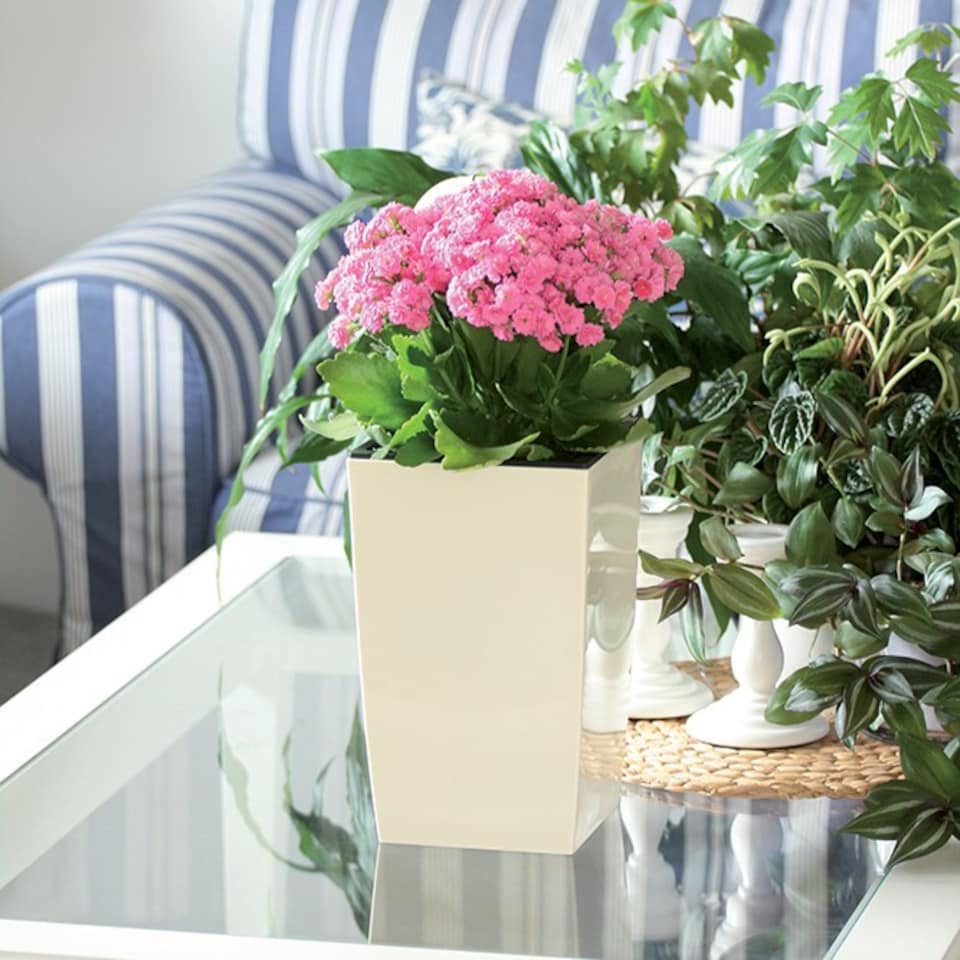 image 1 of Coubi Square Tall Plant Pot with Insert - 26x16x16cm | Cream | Cream & Set of 2 | 2